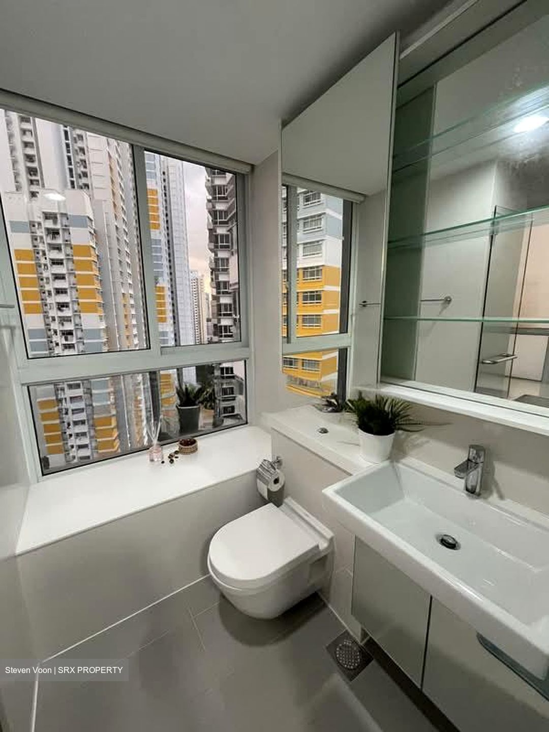 The Regency At Tiong Bahru (D3), Condominium #573429091